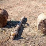 Butembo : destruction d’un engin explosif découvert dans une ancienne base de la Monusco