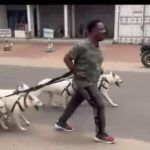 Cité comme complice de Nangaa, Joseph Olengankoy a baladé avec ses chiens sur les artères de Kinshasa